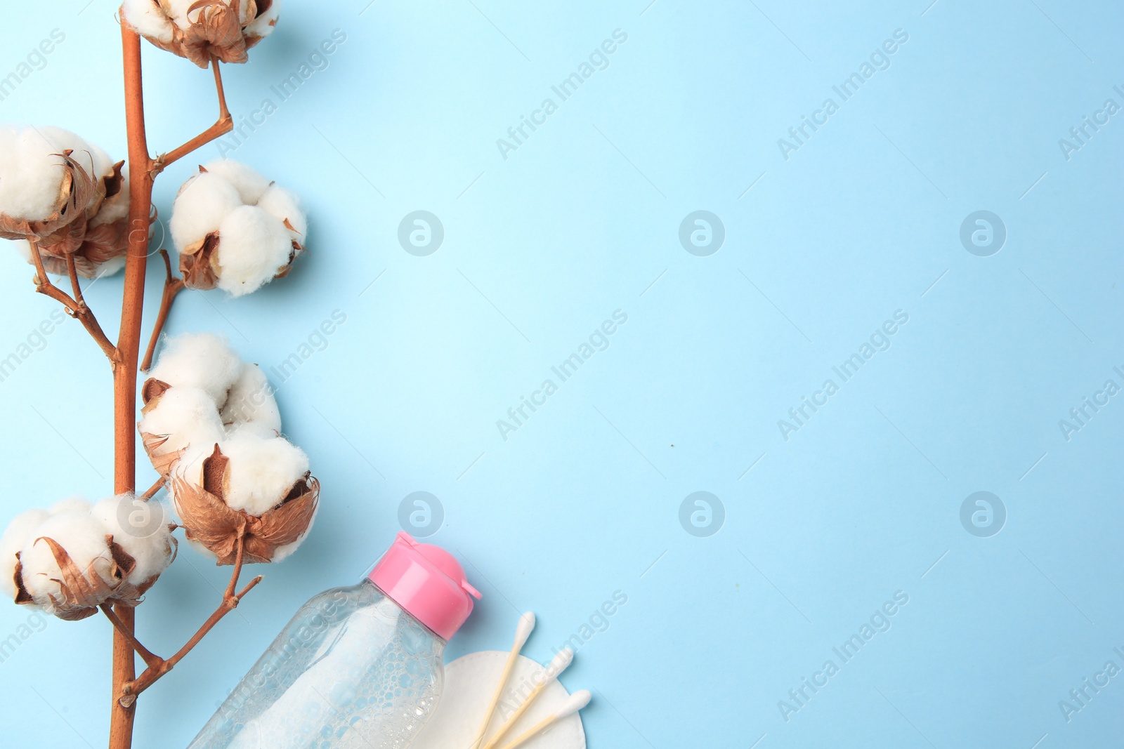Photo of Bottle of makeup remover, cotton flowers, pad and swabs on light blue background, flat lay. Space for text