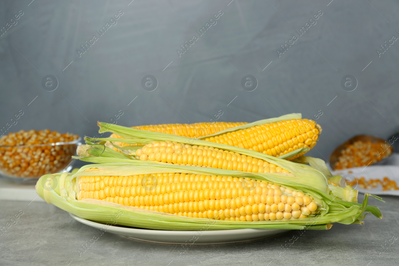 Photo of Plate of fresh corncobs on grey table. Space for text