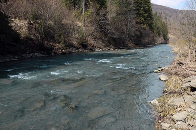 Photo of Picturesque view of mountain river running near forest