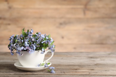Beautiful forget-me-not flowers in cup and saucer on wooden table, closeup. Space for text