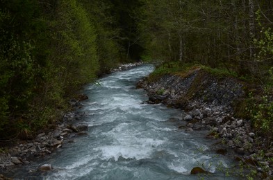 Beautiful view of river flowing among forest in mountains