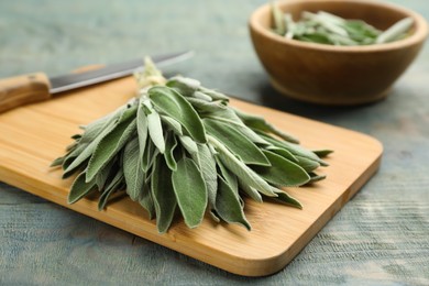 Photo of Wooden board with fresh green sage on light blue table, closeup