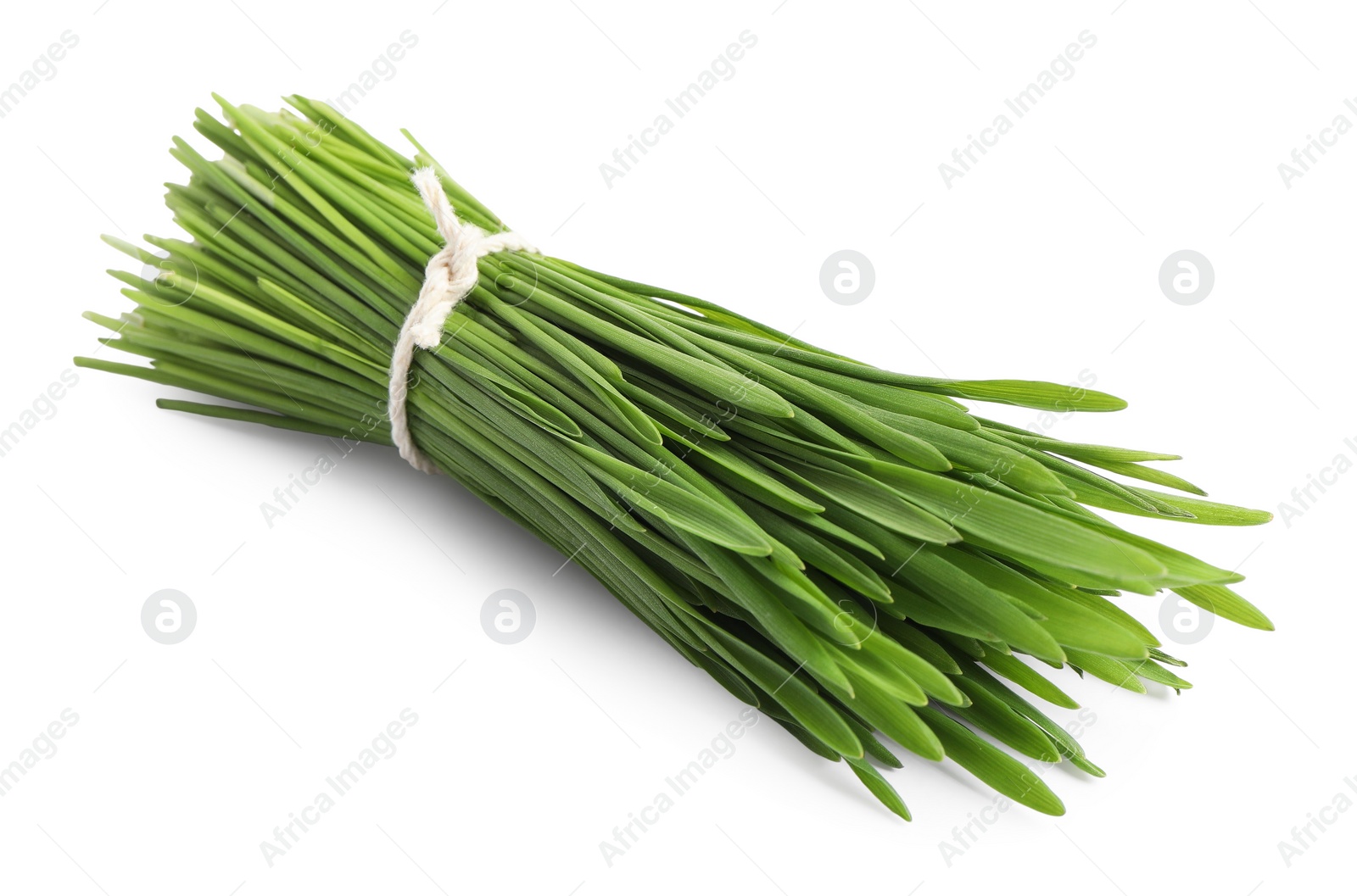 Photo of Bunch of fresh wheat grass sprouts isolated on white