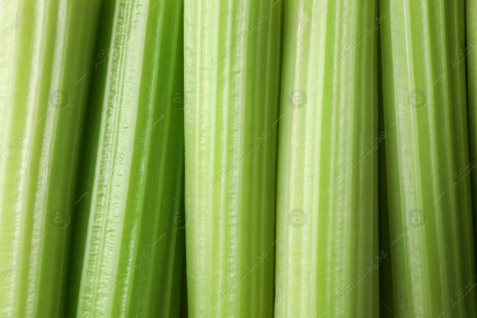 Photo of Fresh green celery as background, top view