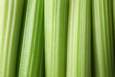 Fresh green celery as background, top view