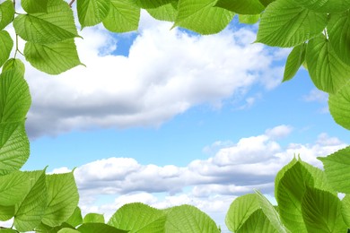 Beautiful blue sky with clouds, view through vibrant green leaves