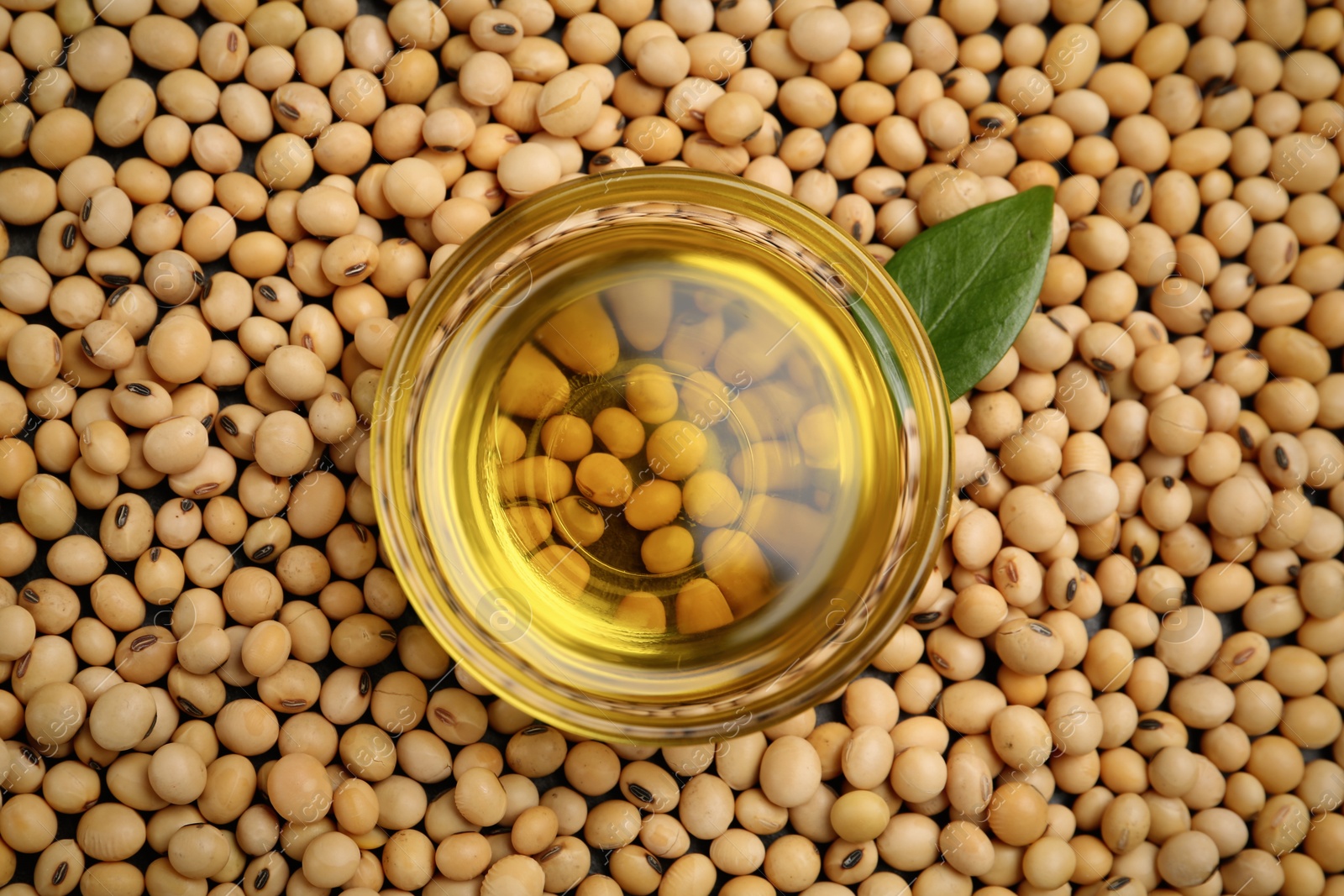 Photo of Bowl of oil and green leaf on soybeans, top view