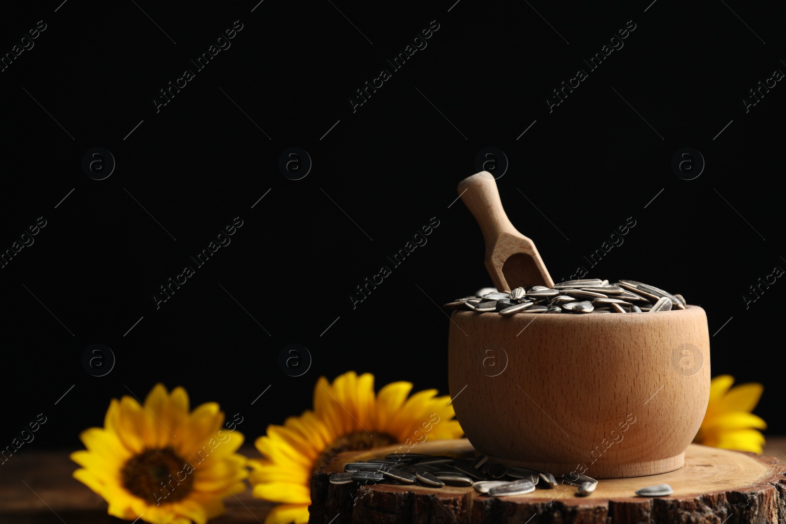 Photo of Raw sunflower seeds on wooden stand against black background. Space for text