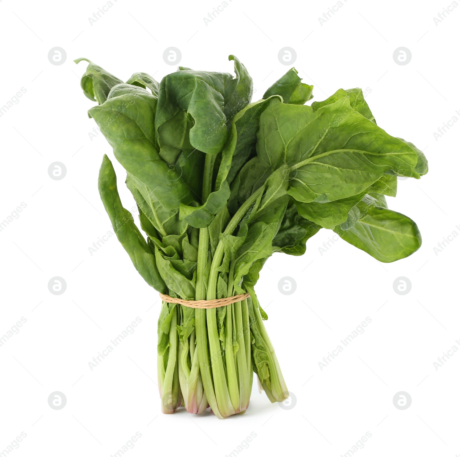 Photo of Bundle of fresh spinach isolated on white