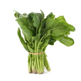 Bundle of fresh spinach isolated on white