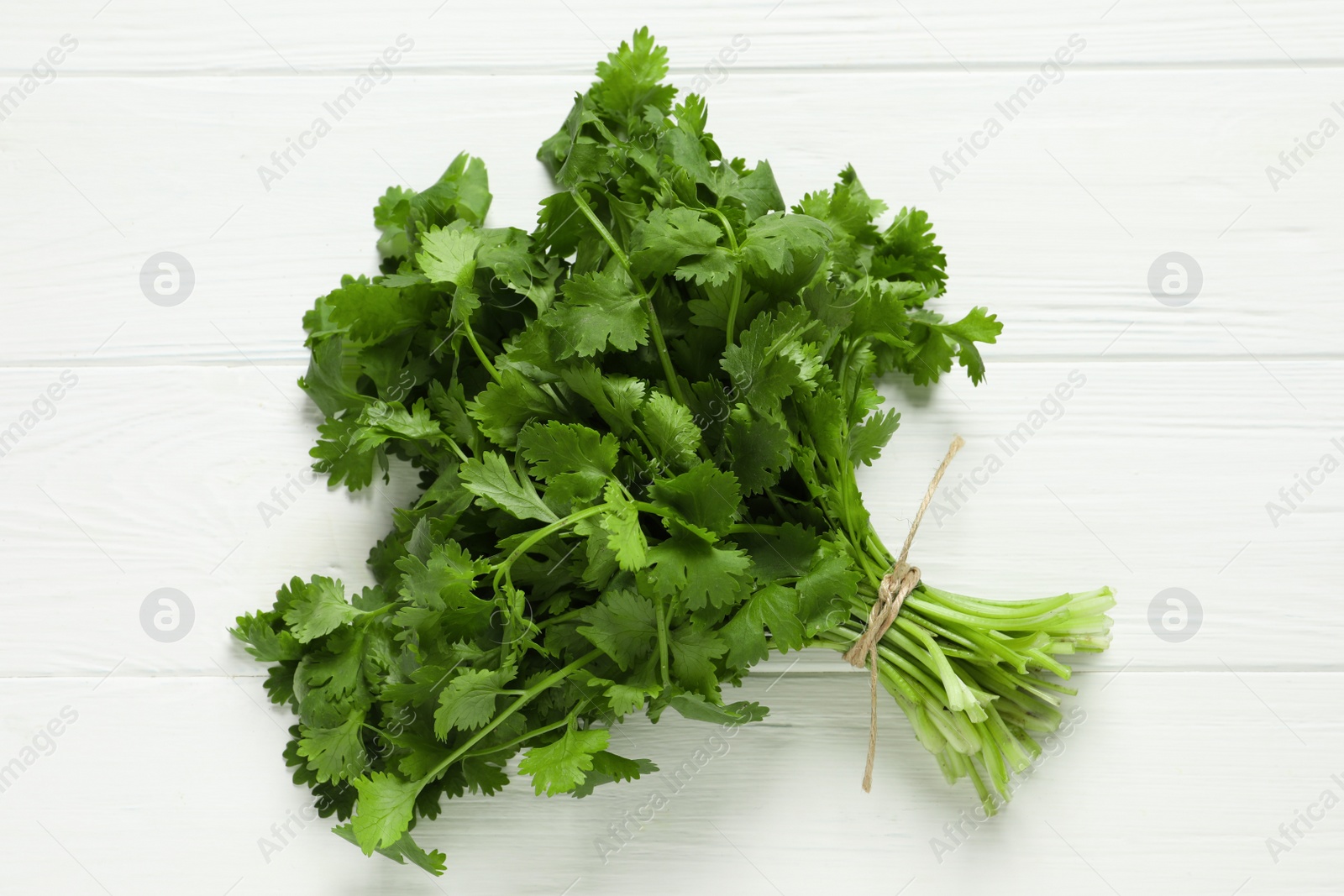 Photo of Bunch of fresh aromatic cilantro on white wooden table, top view