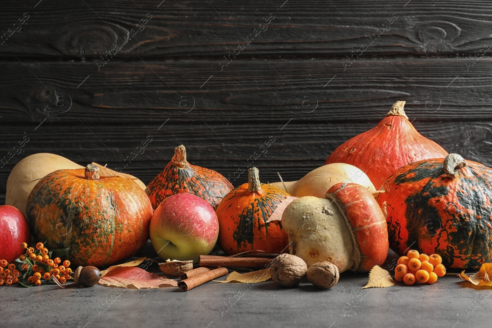 Photo of Composition with different pumpkins on table against dark wall. Autumn holidays