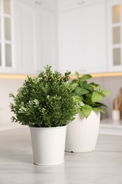 Artificial potted herbs on white marble table in kitchen. Home decor