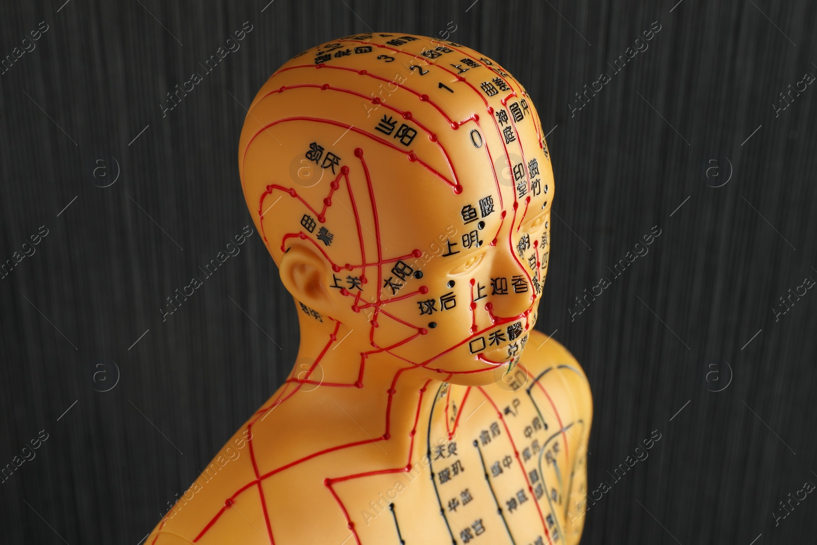 Photo of Acupuncture model. Mannequin with dots and lines on black background