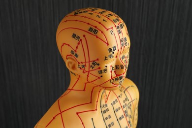 Photo of Acupuncture model. Mannequin with dots and lines on black background