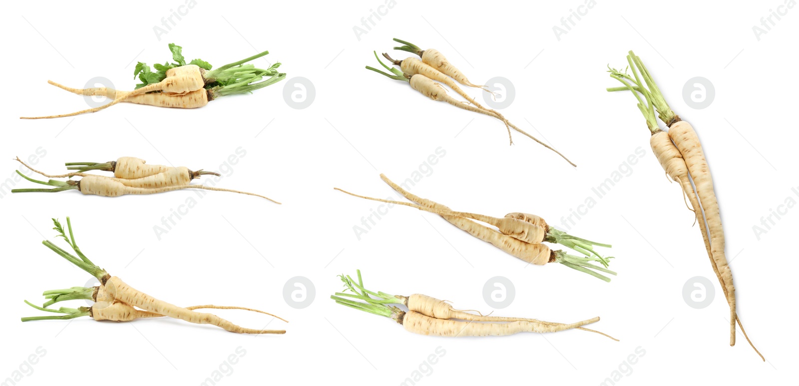 Image of Collage with fresh parsnips on white background