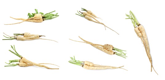 Collage with fresh parsnips on white background