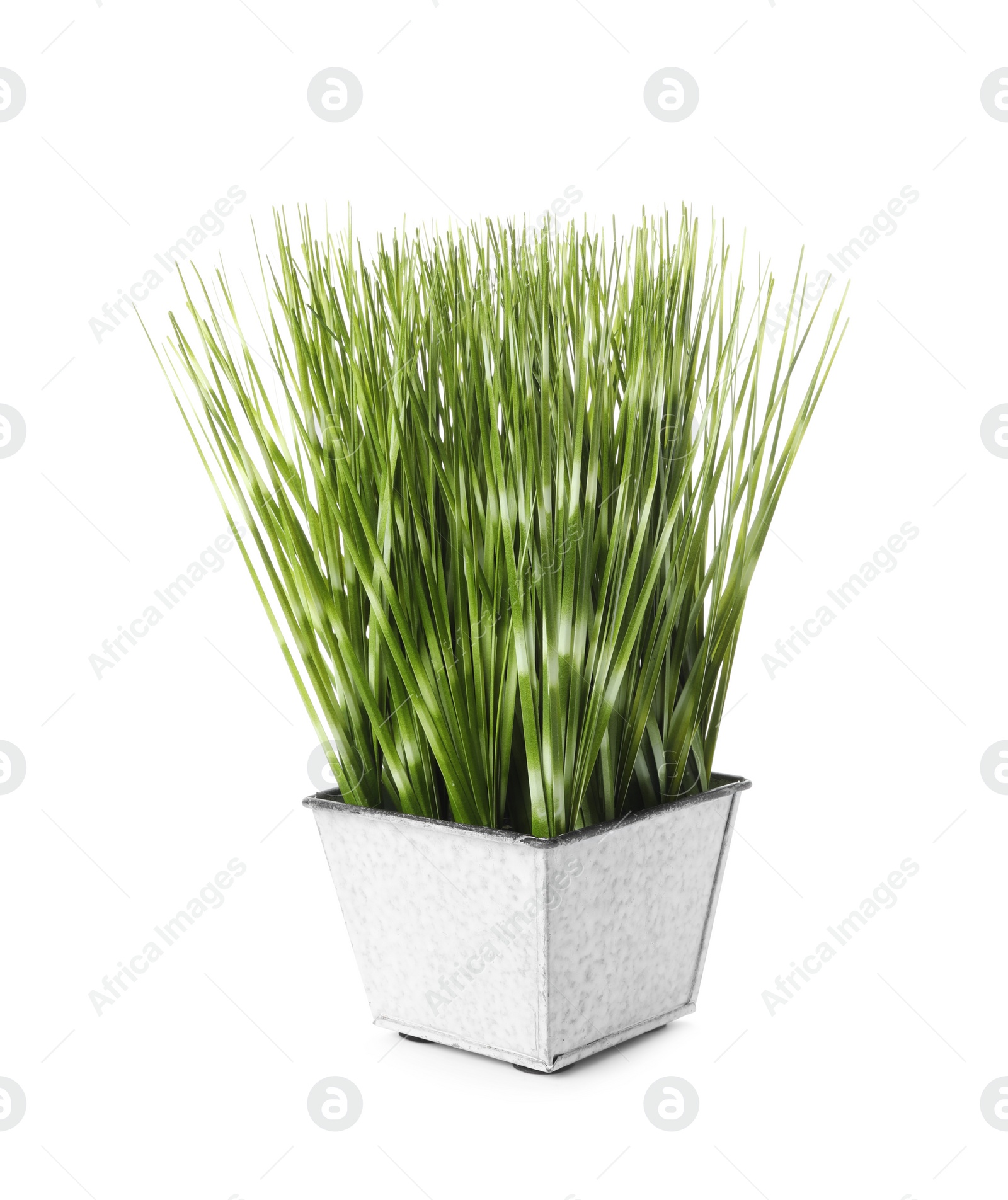 Photo of Beautiful artificial plant in flower pot isolated on white