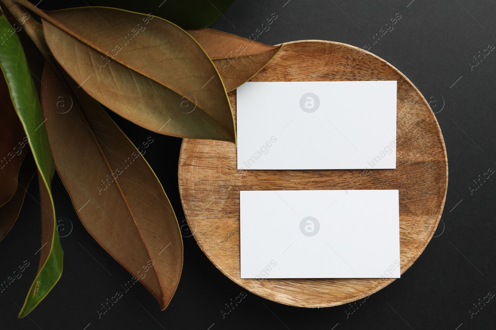 Photo of Blank business cards and magnolia leaves on black background, flat lay. Mockup for design