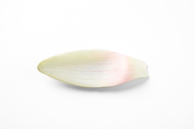 Beautiful lotus flower petal isolated on white, top view