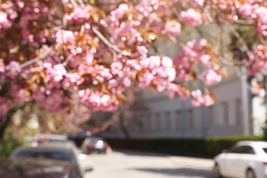 Photo of Blurred view of beautiful blossoming sakura tree outdoors. Bokeh effect