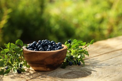 Bowl of bilberries and green twigs with ripe berries on wooden table outdoors, space for text
