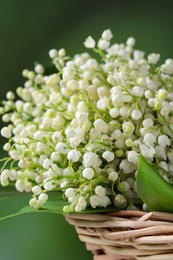 Photo of Wicker basket with beautiful lily of the valley flowers on blurred green background, closeup