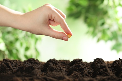 Photo of Woman putting corn seed into fertile soil against blurred background, closeup with space for text. Vegetable planting