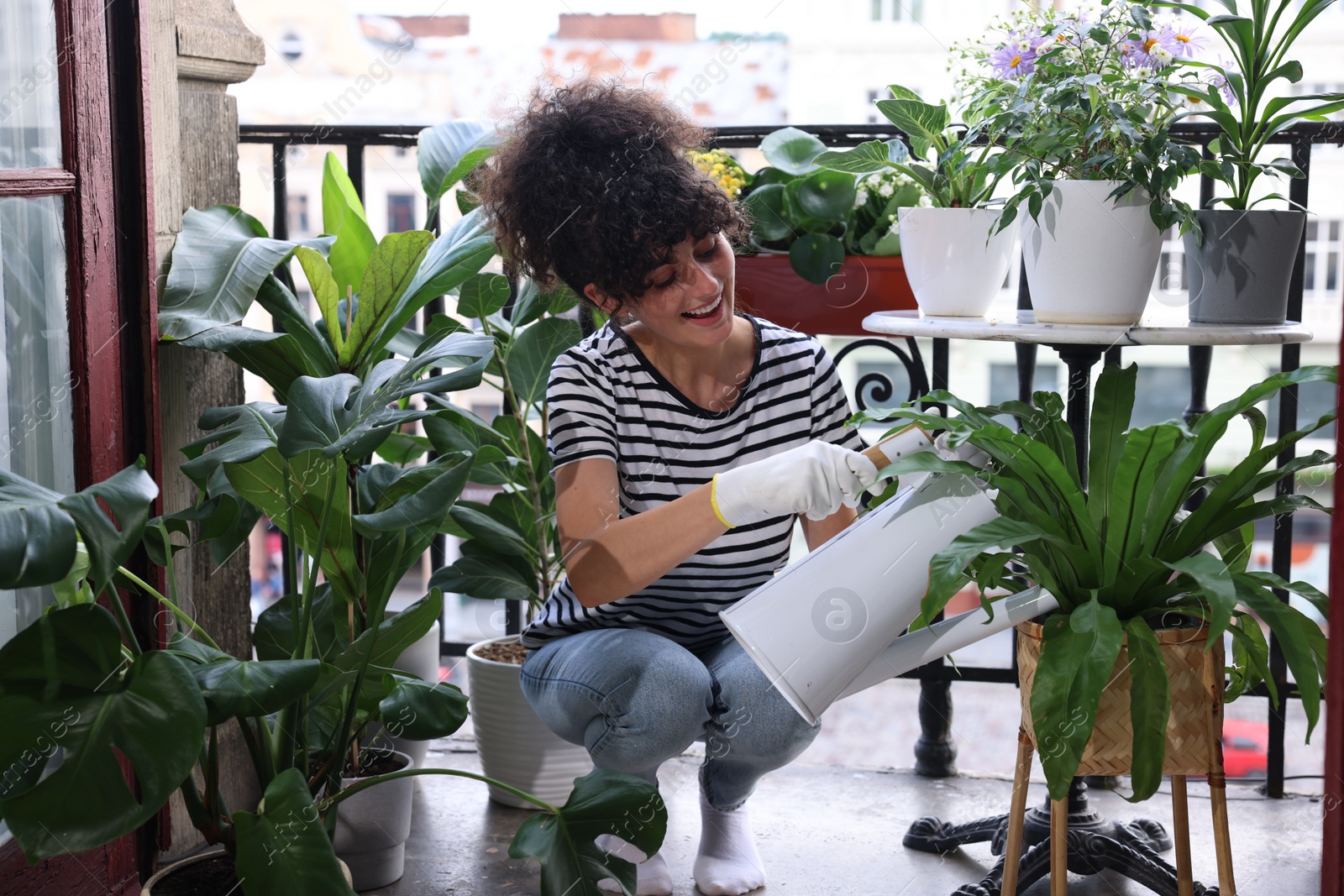 Photo of Happy young woman watering green potted houseplants on balcony