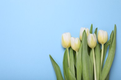 Photo of Beautiful yellow tulips on light blue background, flat lay. Space for text