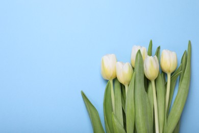 Beautiful yellow tulips on light blue background, flat lay. Space for text