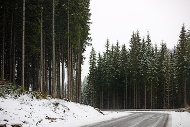 Photo of Beautiful landscape with conifer forest and road on snowy winter day