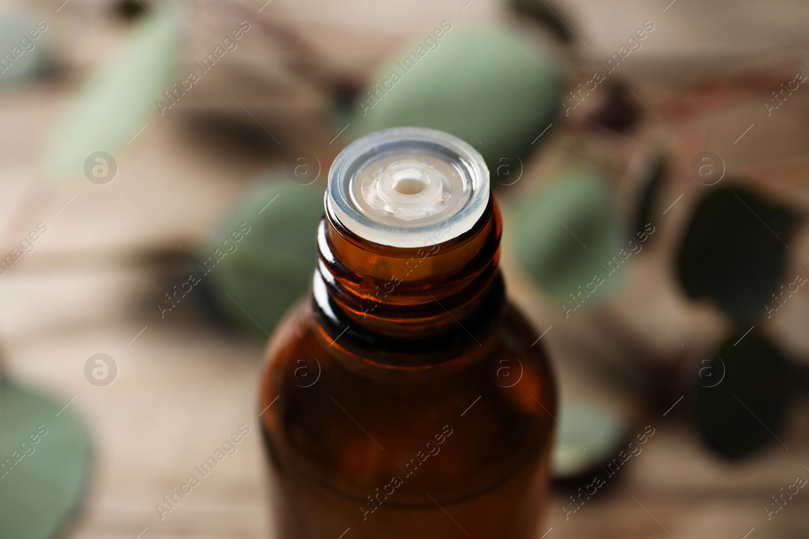 Photo of Bottle of eucalyptus essential oil against blurred background, closeup