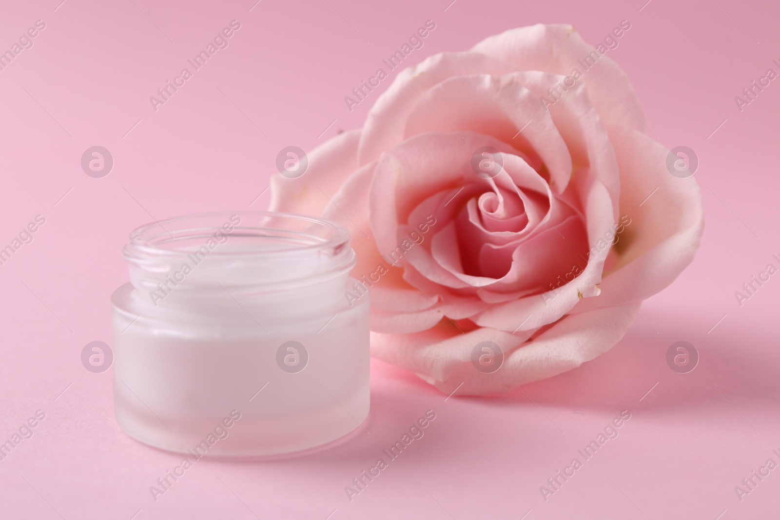 Photo of Moisturizing cream in open jar and rose flower on pink background. Body care product