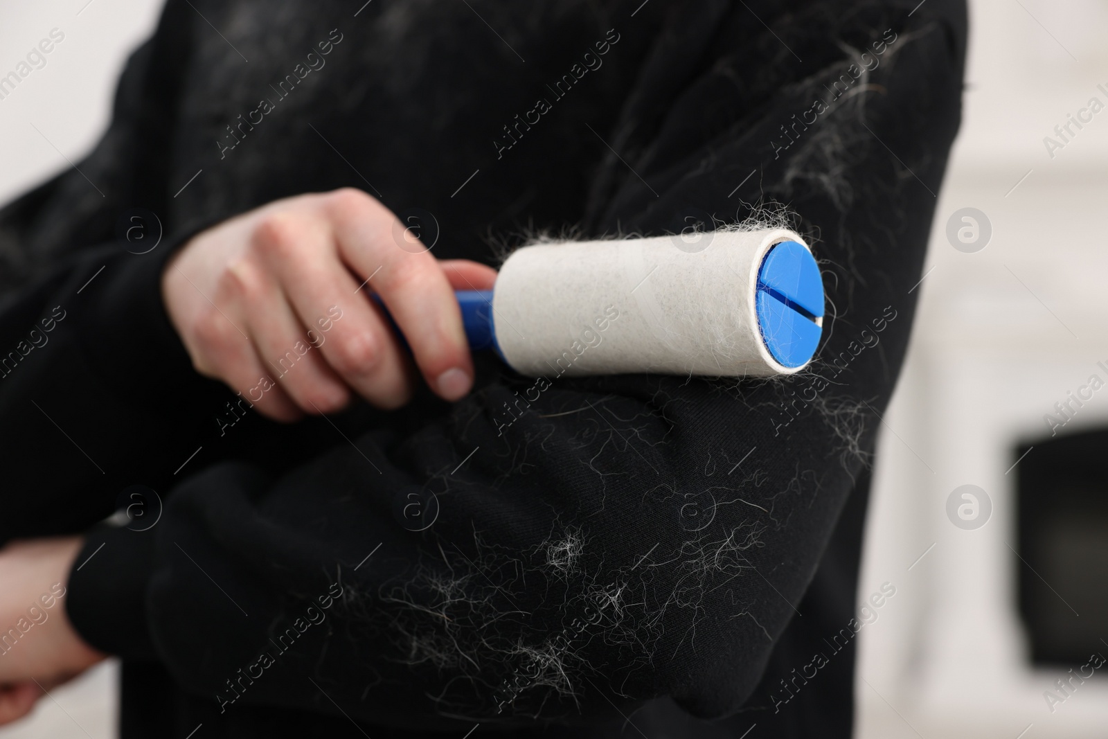 Photo of Pet shedding. Man with lint roller removing dog's hair from sweater indoors, closeup