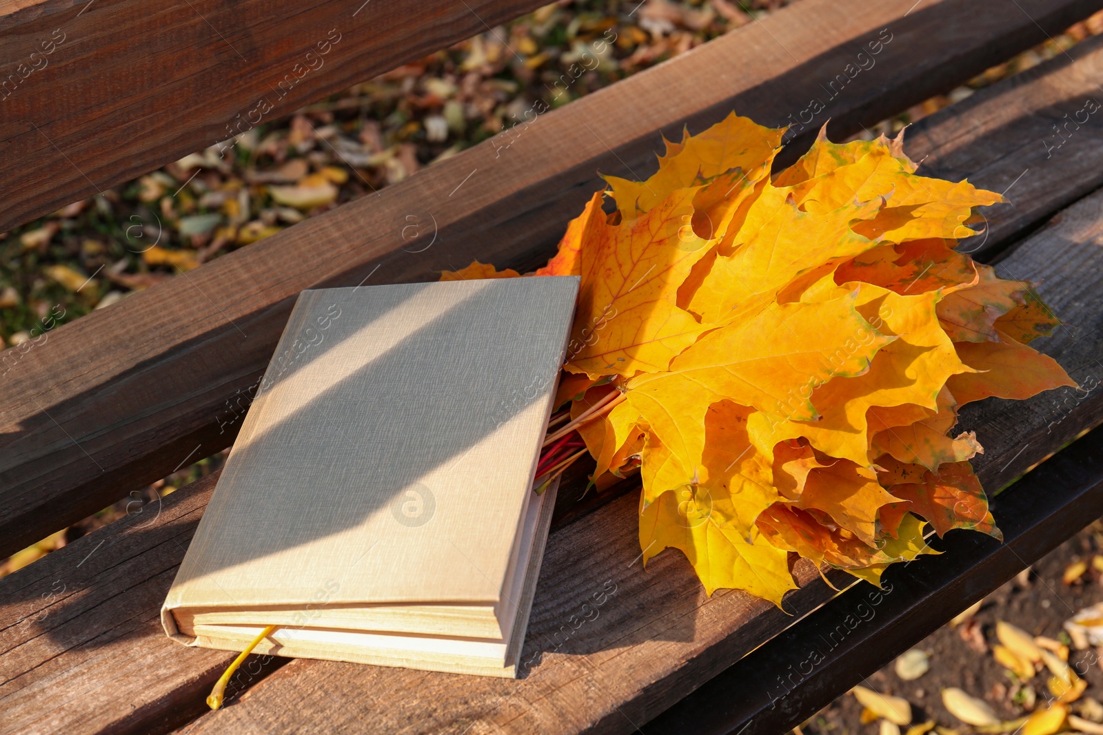 Photo of Wooden bench with book and yellow dry leaves outdoors, above view. Autumn atmosphere