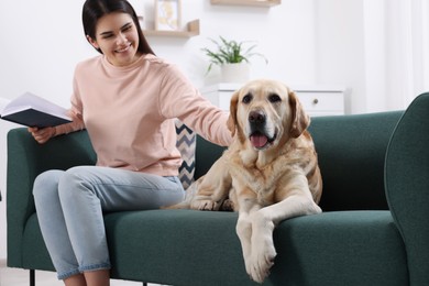 Happy woman with cute Labrador Retriever on sofa at home