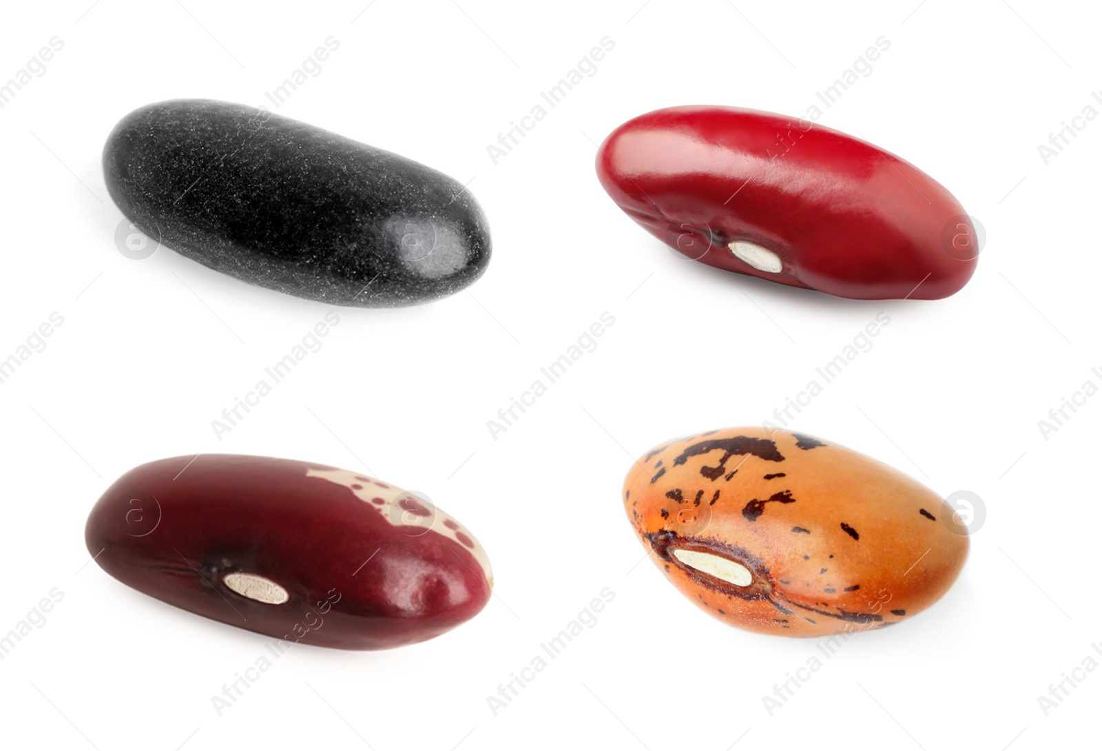 Image of Different raw kidney beans isolated on white, collection