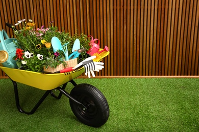 Wheelbarrow with flowers and gardening tools near wooden wall. Space for text