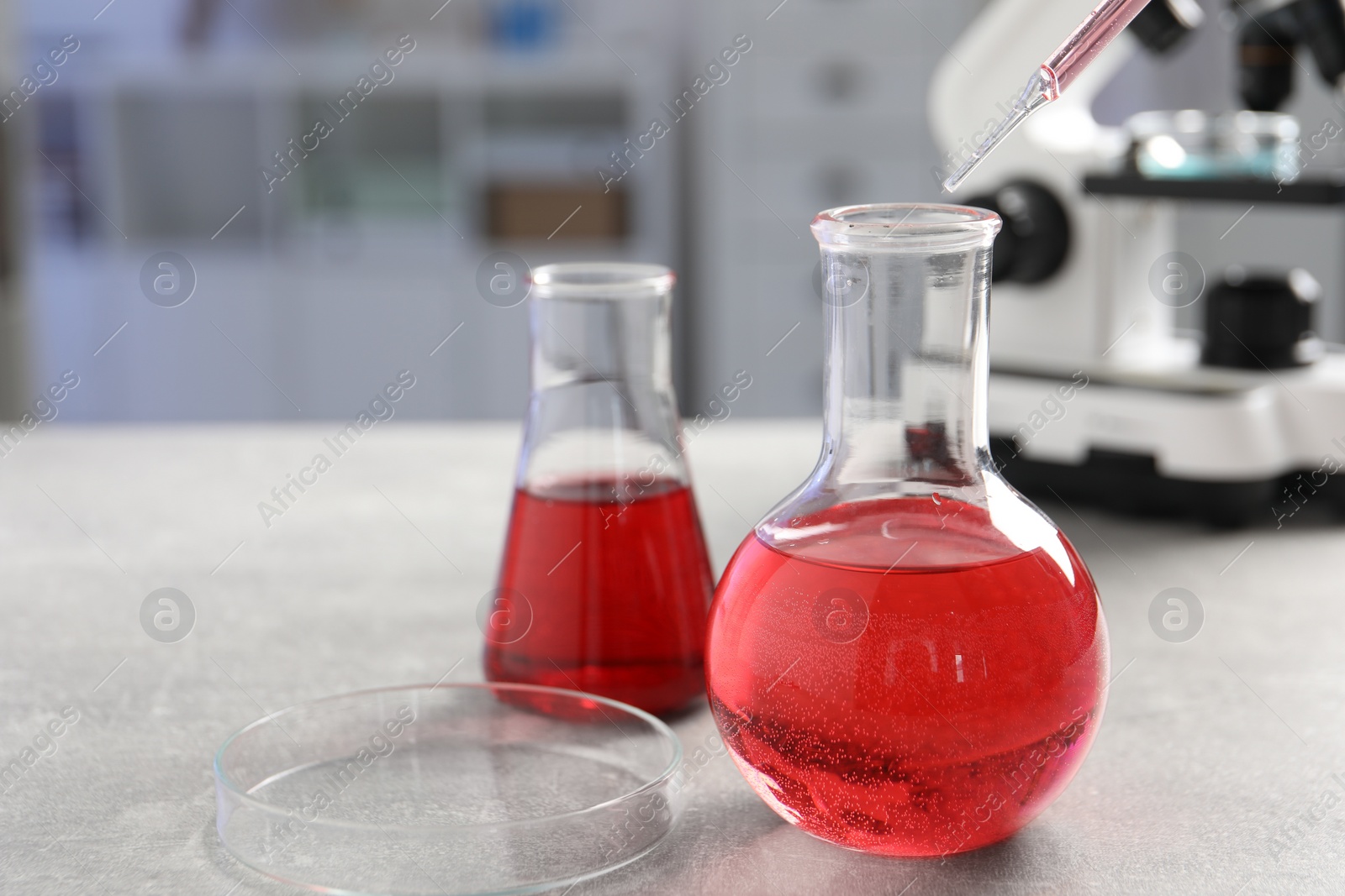 Photo of Laboratory analysis. Flasks with red liquid, petri dish and microscope on light grey table