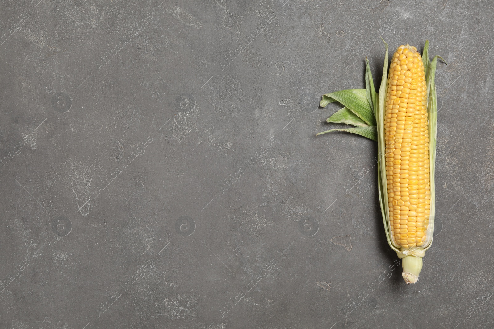 Photo of Corn cob on grey table, top view. Space for text