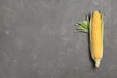 Corn cob on grey table, top view. Space for text