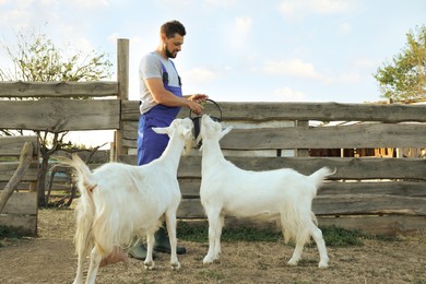 Photo of Man feeding goats at farm. Animal husbandry