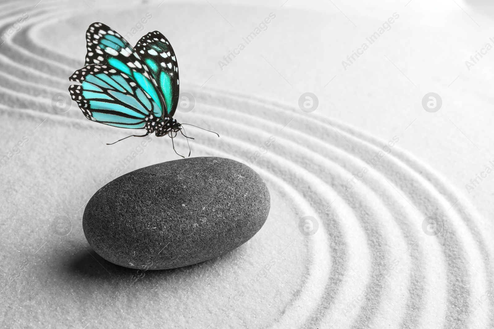 Image of Beautiful butterfly and stone on white sand with pattern. Zen concept