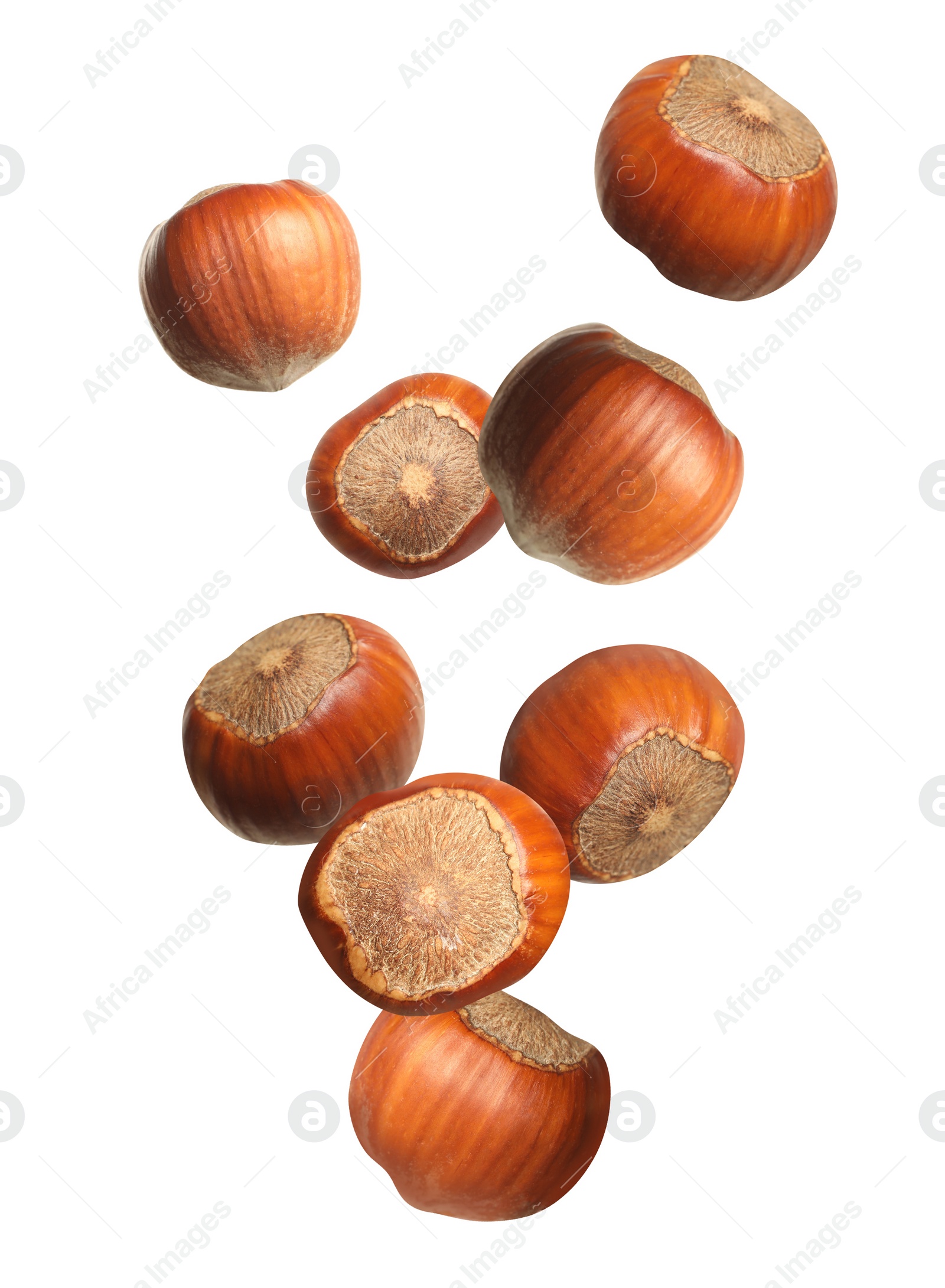 Image of Tasty hazelnuts falling on white background. Healthy snack