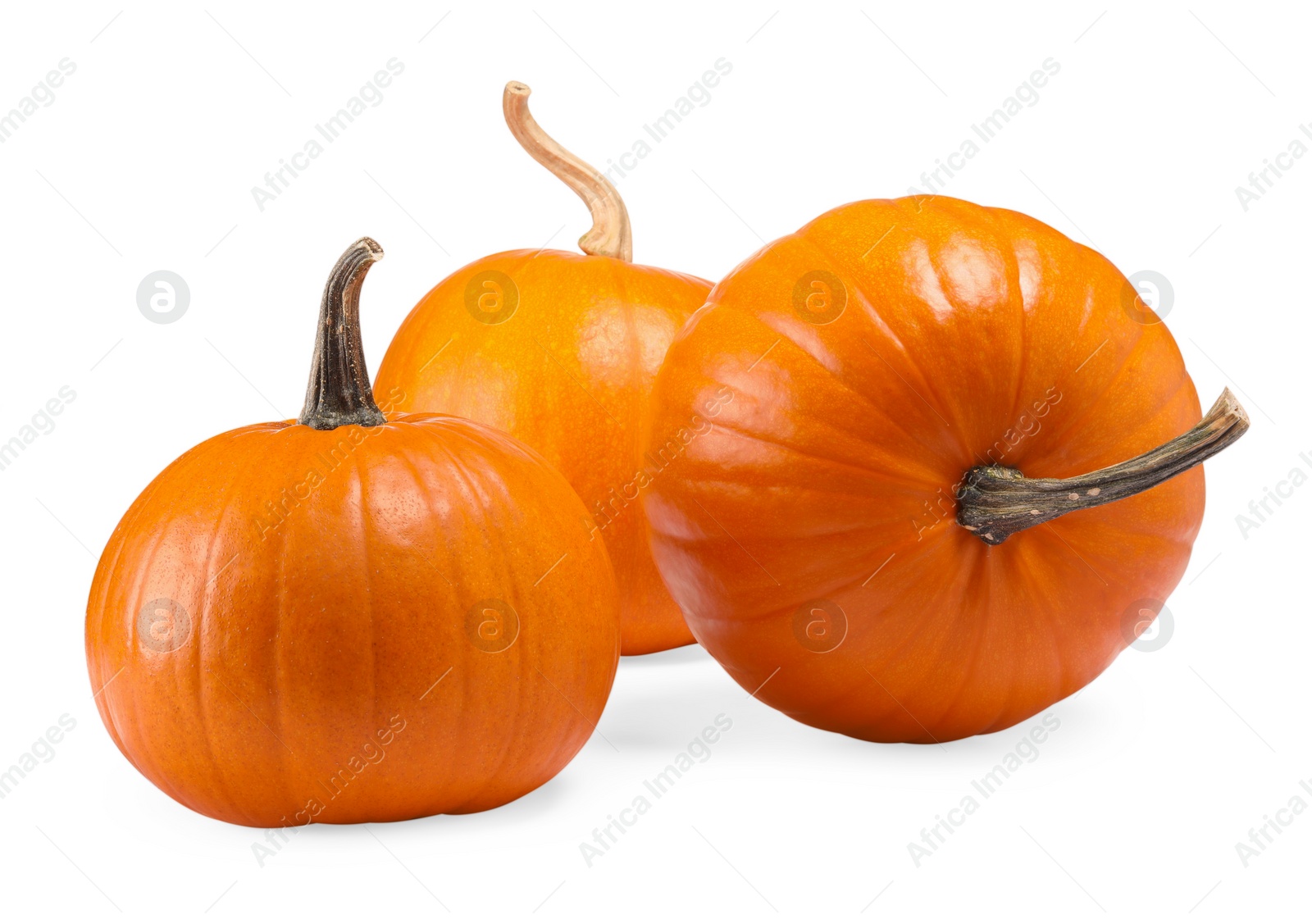 Photo of Many fresh orange pumpkins isolated on white