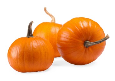 Many fresh orange pumpkins isolated on white