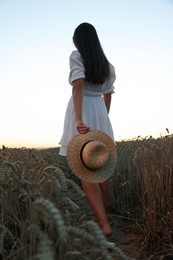 Photo of Beautiful young woman with straw hat in ripe wheat field, back view