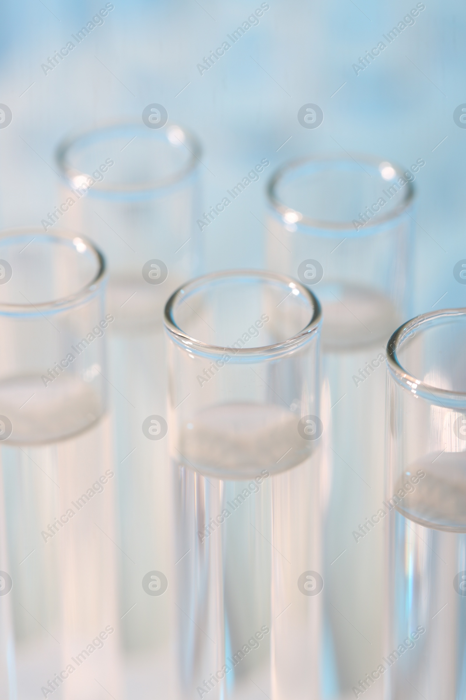 Photo of Laboratory analysis. Many glass test tubes on light blue background, closeup