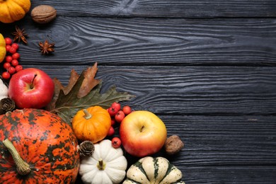 Photo of Thanksgiving day. Flat lay composition with pumpkins on black wooden table, space for text